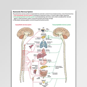 Autonomic Nervous System Psychology Tools